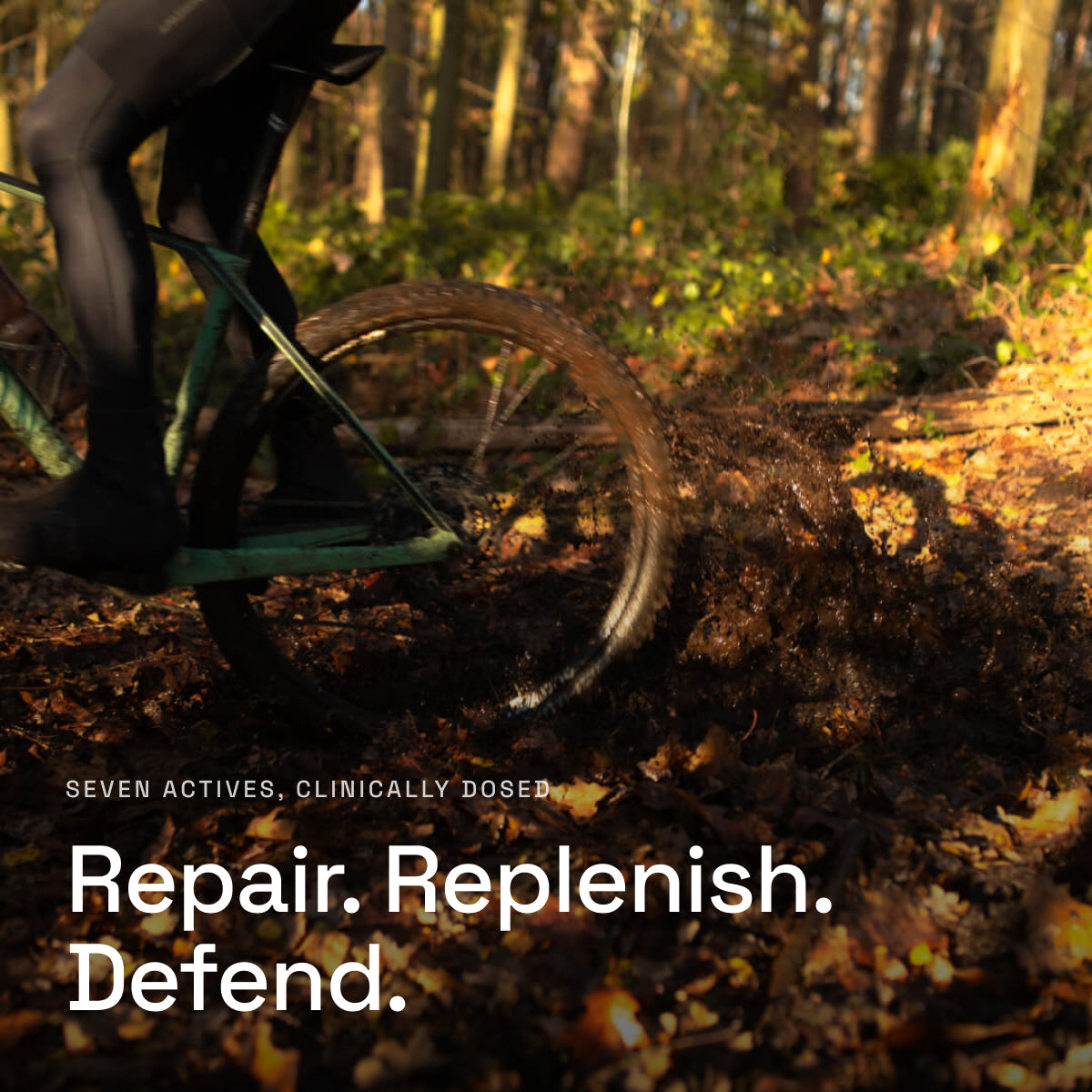 kof-tile-repair-sq.jpg